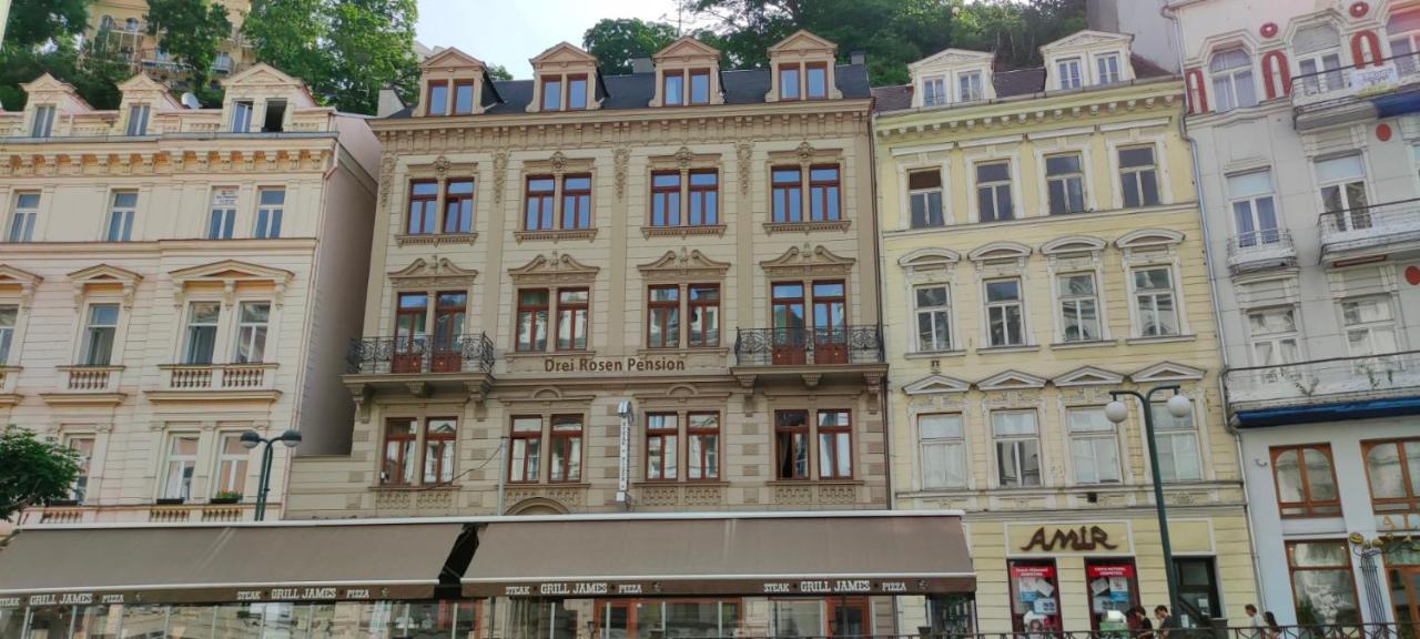 Pension Drei Rosen Karlovy Vary Exterior foto